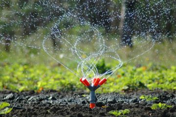 Irrigation