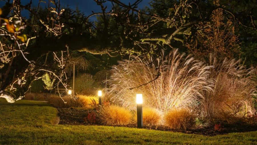 Landscape Lighting